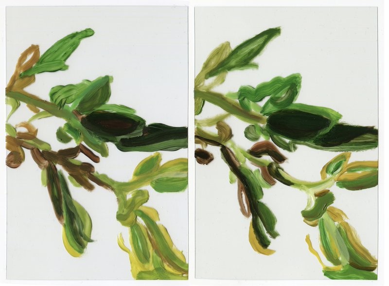 Alex Fischer, Vii 6000 53 173, 2015-02-26